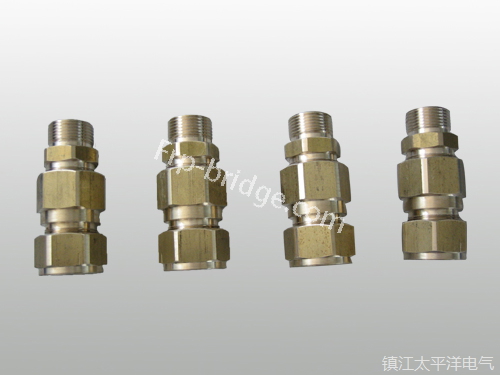黃銅铠裝(zhuang)電纜密封(feng)接頭